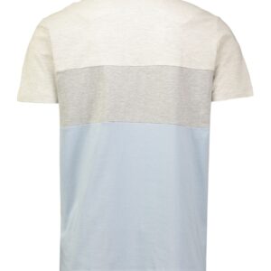Мужская футболка Piazza Italia из комбинированной ткани вид сзади